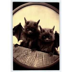 Halloween Bat Photo Glossy 4x6 Cute Baby Bats Wings Halloween Decor
